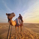 Nacht in der Rub al-Khali-Wüste