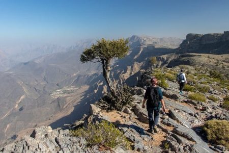 Ausflug zum Jabal Akhdar und Wadi Bani Habib ab Maskat oder Nizwa