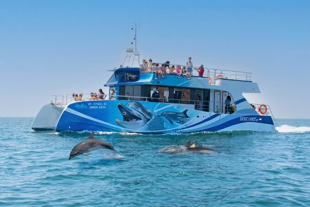 Bootstour zur Delfinbeobachtung